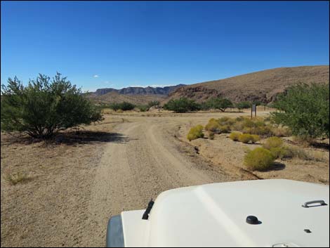 Gold Butte Townsite Road