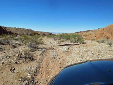 Gold Butte Wash Road