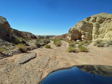 Gold Butte Wash Road