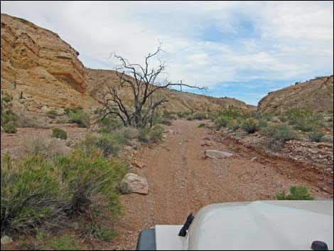 Gold Butte Wash Road