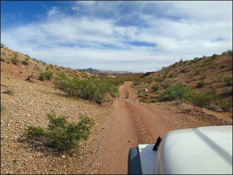 Gold Butte Wash Road