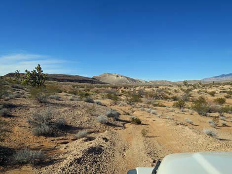 Greasewood Basin East Road