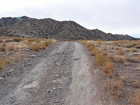 Hen Spring Canyon Road