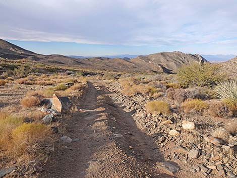 Hen Spring Canyon Road