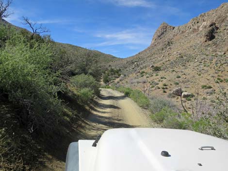 Hen Spring Canyon Road