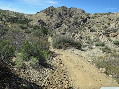 Hen Spring Canyon Road