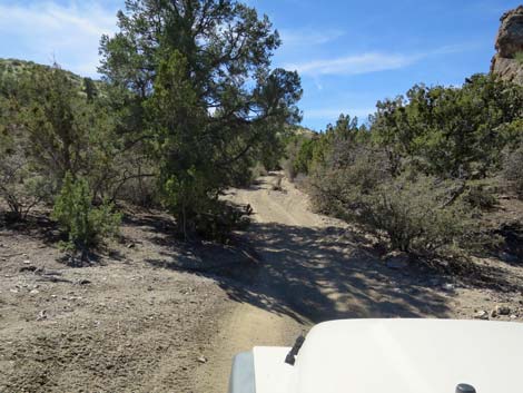 Hen Spring Canyon Road