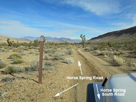 Horse Spring Road