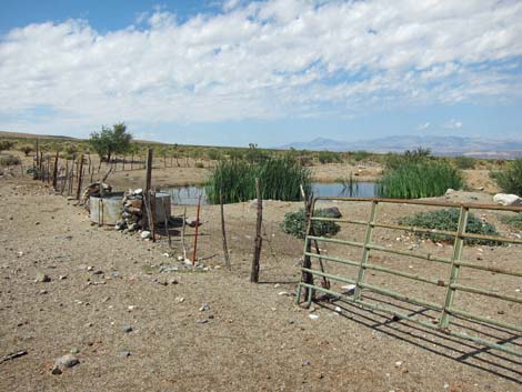 Lime Kiln Canyon Road