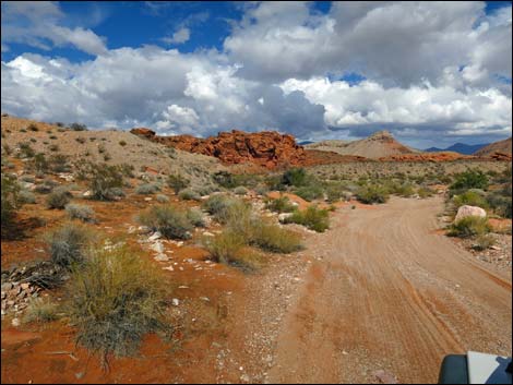 Mud Wash Shortcut Road