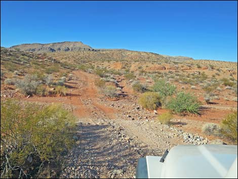 Mud Wash Shortcut Road