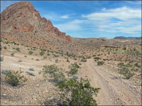 Narrows Road North