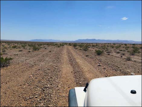 Narrows Road North