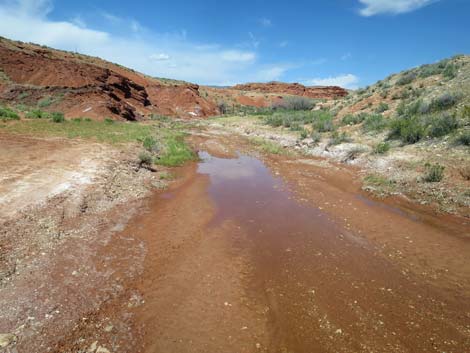 Red Rock Spring Road