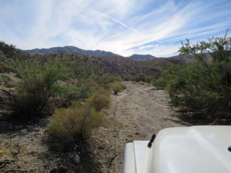 Rattlesnake Wash Road