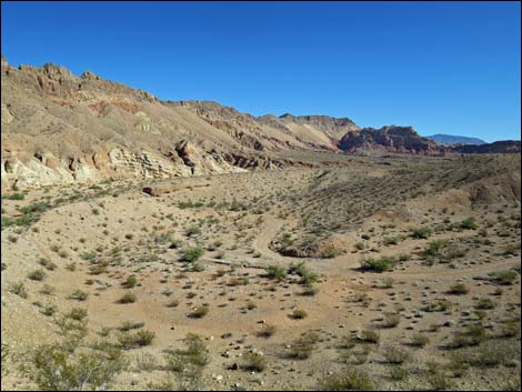 Red Bluff Spring Overlook Road