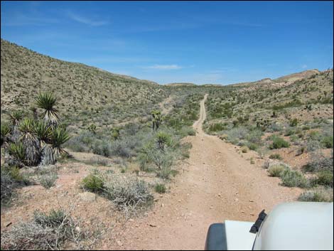 Red Bluff Spring Road