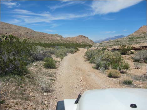 Red Bluff Spring Road