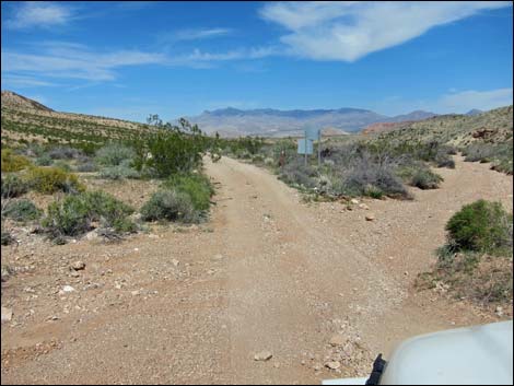 Red Bluff Spring Road