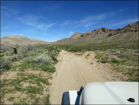 Red Bluff Spring Road