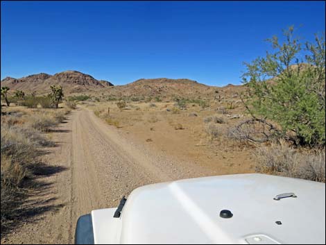 Red Bluff Spring Road