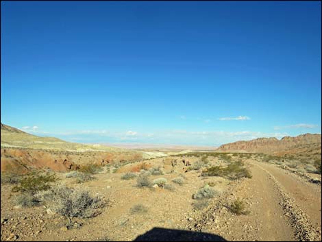 Red Bluff Spring Road