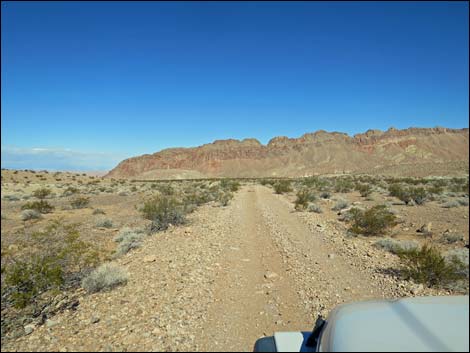 Red Bluff Spring Road