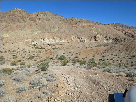 Red Bluff Spring Road