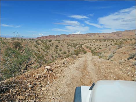 Red Bluff Spring Road