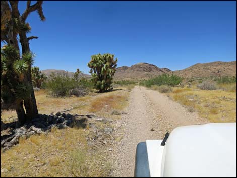 Red Bluff Spring Road