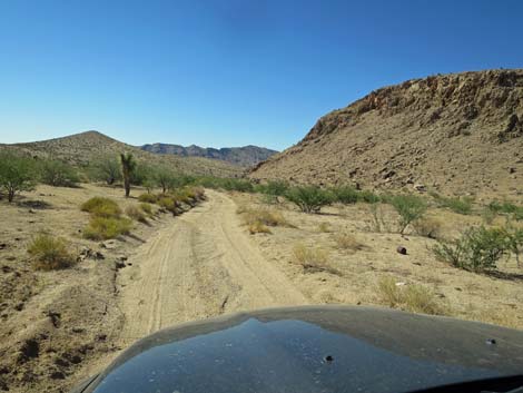 Red Bluff Spring Road