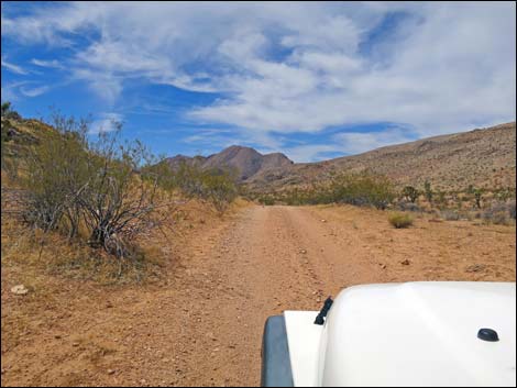 Red Bluff Spring Road