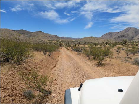 Red Bluff Spring Road