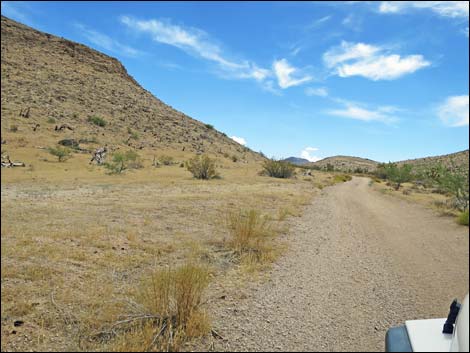 Red Bluff Spring Road