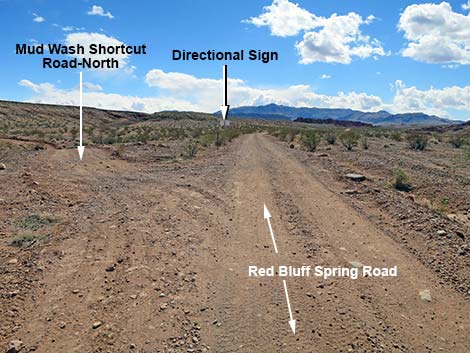 Red Bluff Spring Road