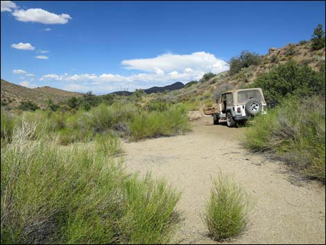 Summit Spring Road