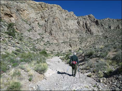 Virgin Peak Road