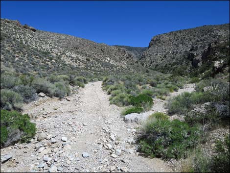 Virgin Peak Road