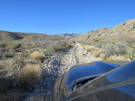 Virgin Peak Road