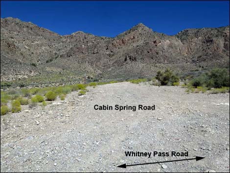 Whitney Pass Road