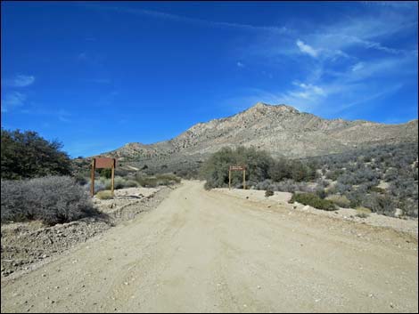 Whitney Pass Road