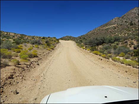 Whitney Pass Road