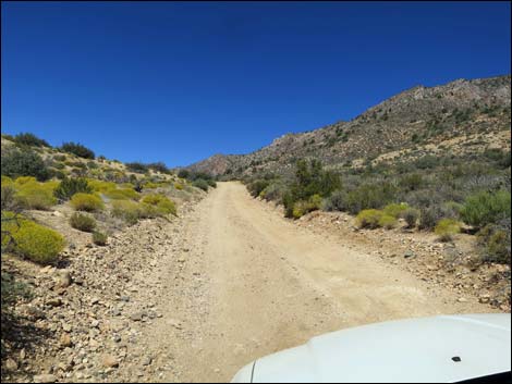 Whitney Pass Road