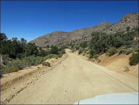 Whitney Pass Road