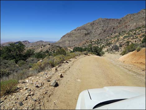 Whitney Pass Road