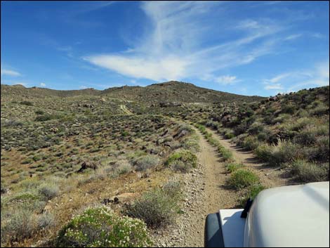 Windmill Mine Road