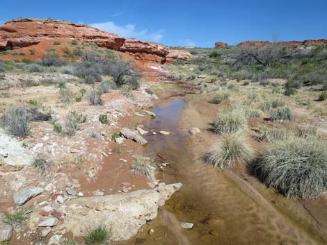 Red Rock Springs