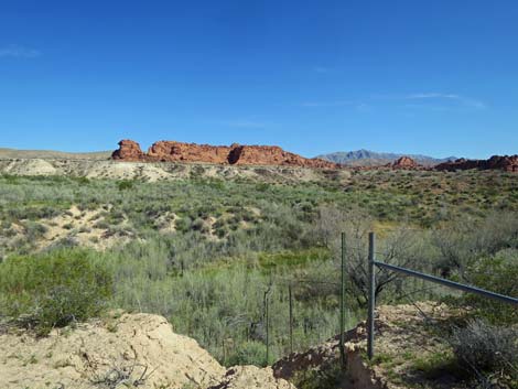 Red Rock Springs