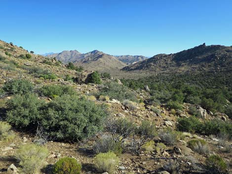 Shark Tooth Peak