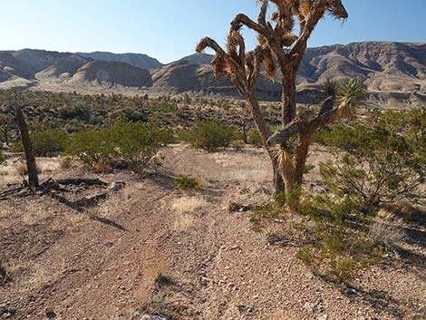 Uranium Mine